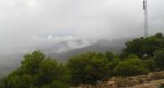 P9246896_resize.JPG