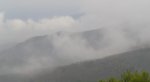 P9246897_resize.JPG