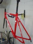 DSC01394.jpg