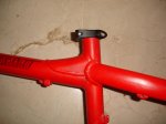 DSC02345.jpg