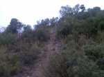 Imagen050.jpg