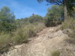 Imagen023.jpg
