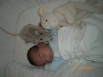 IMGP0171.JPG