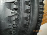 IMGP0178.JPG