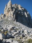picos098_redimensionar.jpg