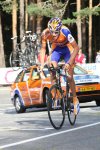 Gesink.jpg