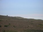 DSCN3973.JPG