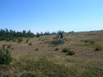 DSCN3974.JPG