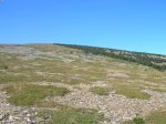 DSCN3984.JPG