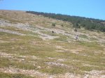 DSCN3986.JPG