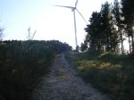 DSC07520.JPG