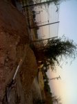 26-09-08_2009.jpg