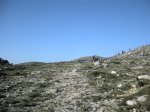 DSCN2593 (Large).JPG