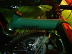 DSC00101.jpg