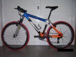 Orbea 2.jpg