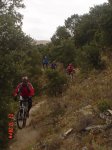 DSC01517.JPG