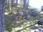 Foto0199.jpg