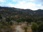 DSCN1128.jpg