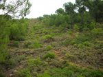 27-9-08 008.jpg