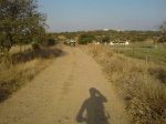 DSC022110014.JPG