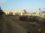 DSC022120015.JPG