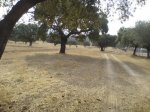 DSC022340036.JPG