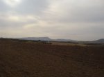 DSC022350037.JPG