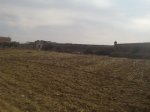 DSC022370039.JPG