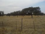 DSC022450046.JPG