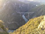 covas2.jpg