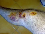 27092008068.jpg