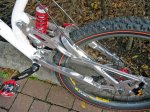 9732LoboNeu_009_bearbeitet.jpg