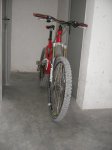Imagen 296.jpg