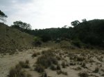 DSCN1588.jpg
