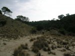 DSCN1589.jpg