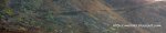 Panorama 3.JPG