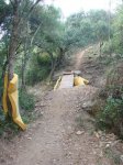 DSC02220.jpg