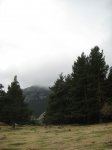 Foto 012.JPG