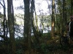 DSCN2639 (Large).JPG