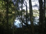 DSCN2640 (Large).JPG