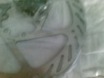 22092008267.jpg