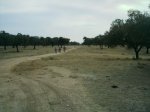 IMAG0355.JPG