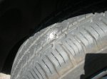 DSCN5129.jpg