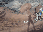 SDC10095.gif