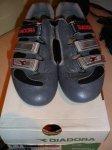 DSC00857.JPG