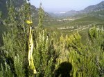 la casella 003.jpg