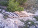 IMG0036A.jpg