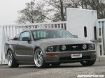 mustang.jpg