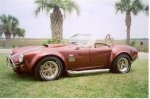17063my_cobra__small_ (Medium).jpg
