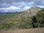 mini-IMG_3625.JPG